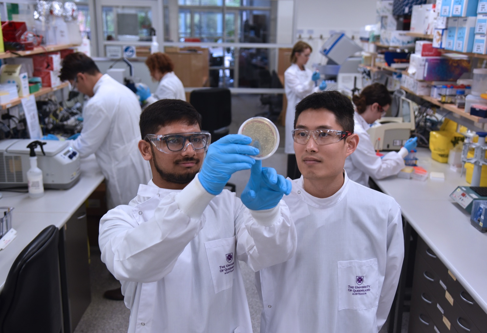 PEF researchers preparing recombinant protein samples